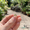 Natural Cushion Cut Peridot Halo Ring with Diamond Split Shank